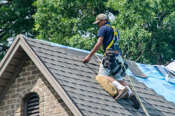 Best Roof Maintenance Services  in Sharon, WI